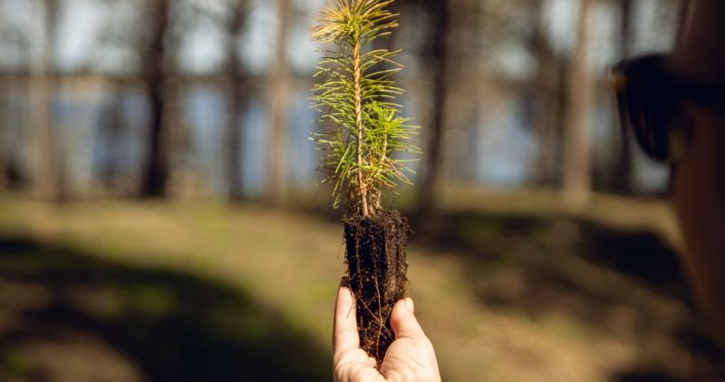 Rimi Riga Marathon’s carbon footprint will be compensated for the first time in the Baltics with Neste Latvija support
