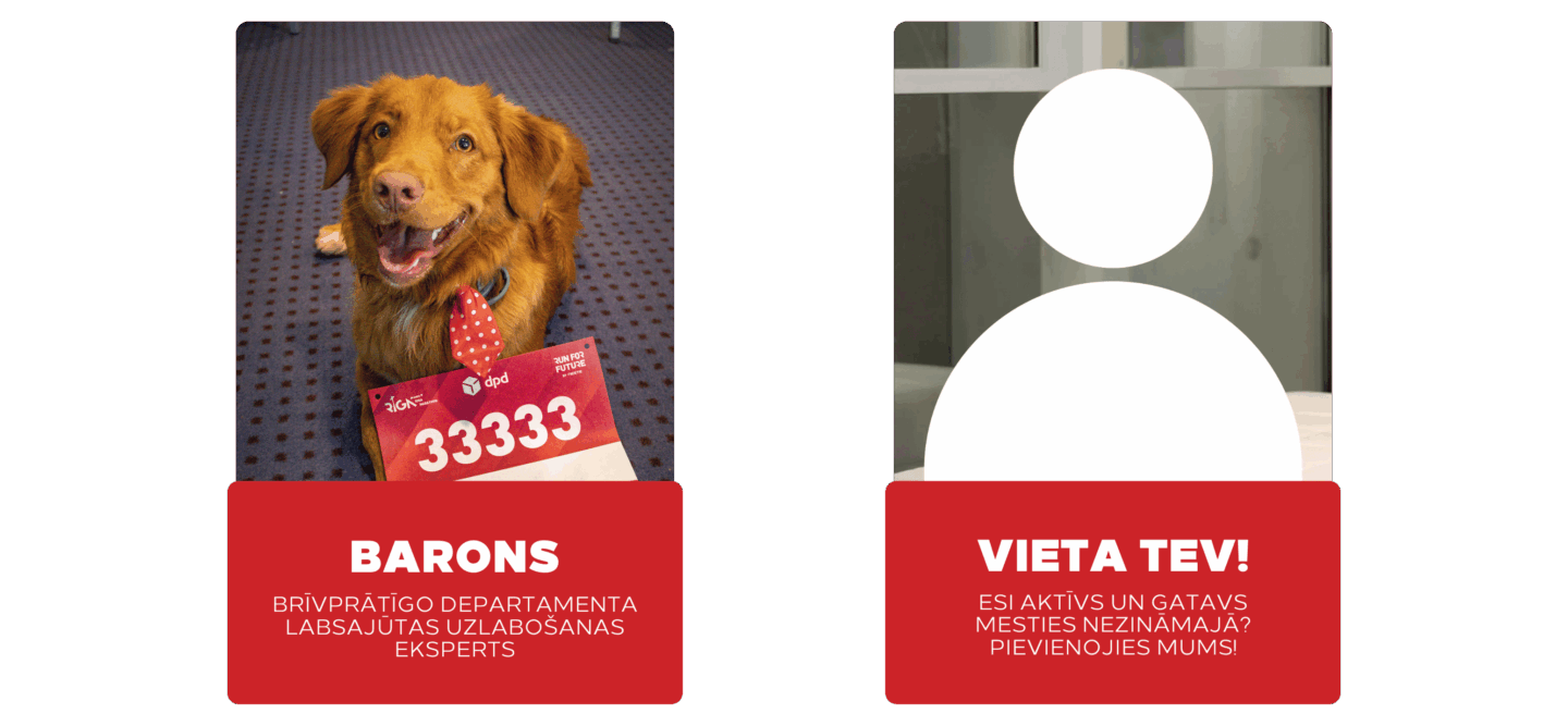 Brīvprātīgie palīgi